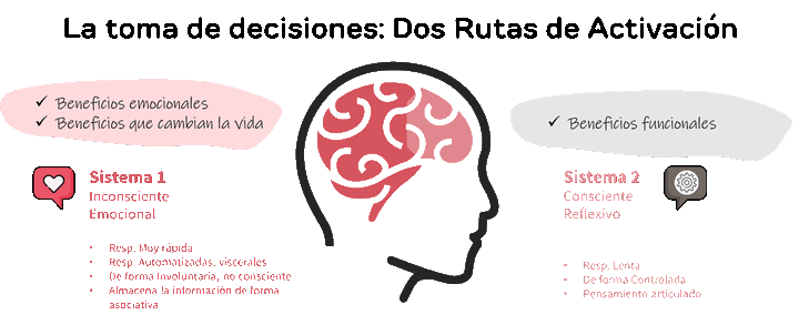 Rutas de toma de decisiones - neuromarketing